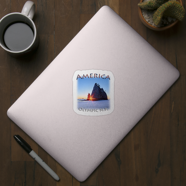 America - Washington - Olympic National Park by TouristMerch